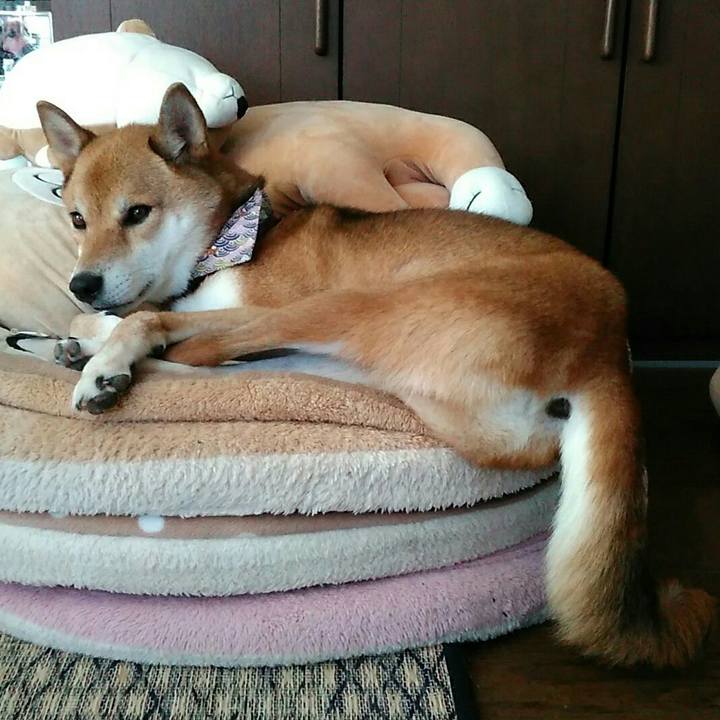 B0caea1b 0ffe 47c4 8be6 97122e4743c0 1537416154811