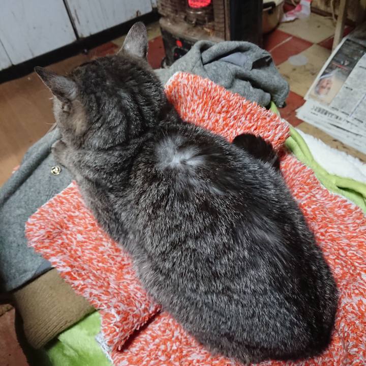 B0caef99 8b45 418b ae4b 00dab17dedf2 1579729893932