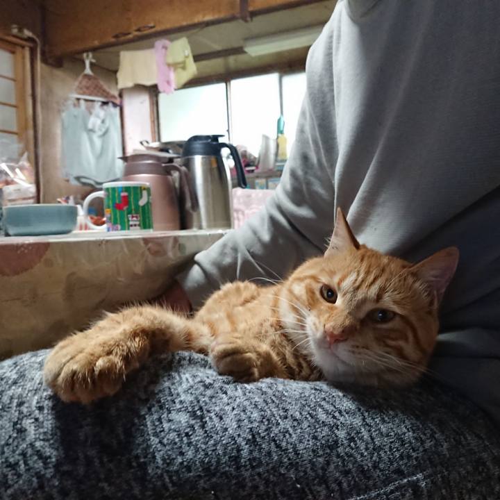 B0cb3f34 a885 43bd b15d faa23b49f721 1651061098562