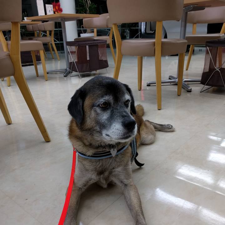 B0cb686f 3e94 4bb4 8ac1 0d43e02eec67 1540551545406