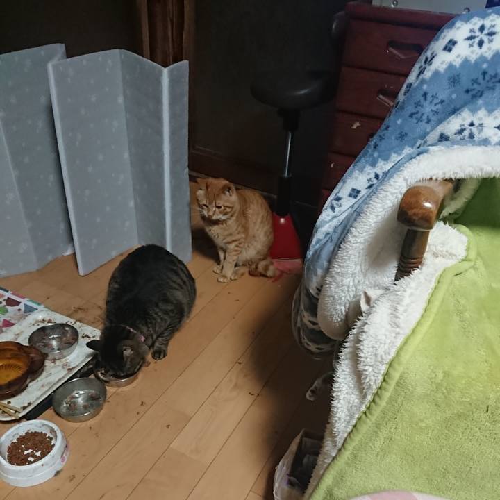 B0cb6e85 5343 4bf3 9819 1023ba621039 1649021407888