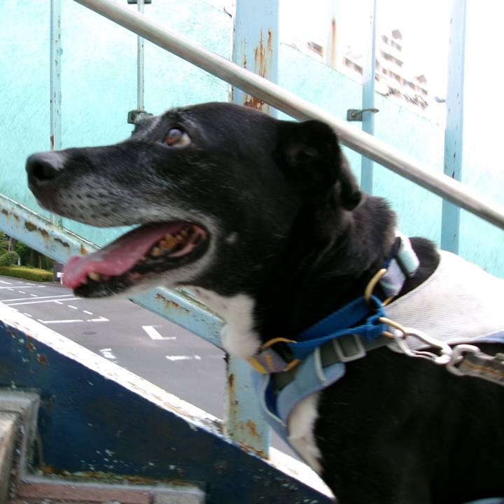 B0cb6e8d 370c 420f 8f66 22aef623d7f9 1754700964430