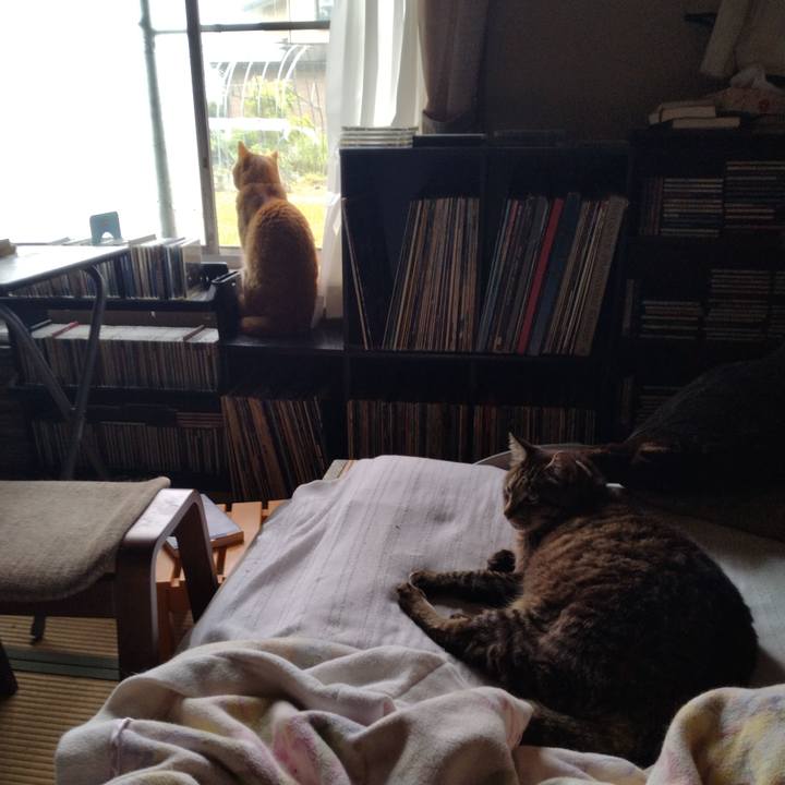 B0cb6f50 7f98 4d81 ac76 7a6a93988ab3 1686885526397