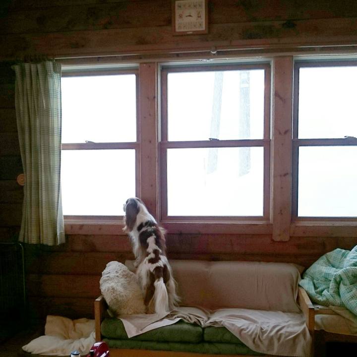 B0cb7fc2 7477 4e0b b6e1 9b92dc6513c3 1518418369202