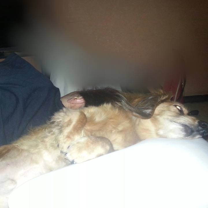 B0cbaff2 3eaf 4328 b87f 1d1f7705f47c 1525696903014