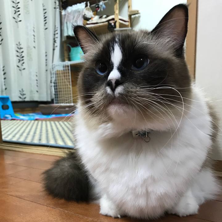 B0cc1217 2c60 44d4 a7e5 aaa0d989522c 1510063468050