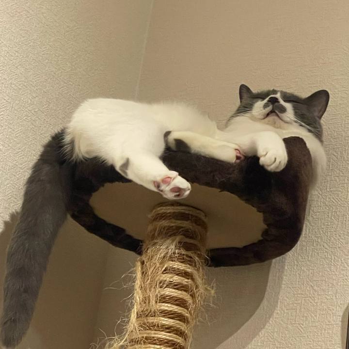 B0cc3390 06a9 4c11 b1c7 d7f3ba4ee578 1750174992737