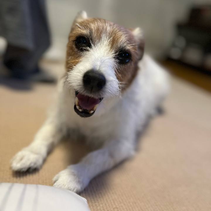 B0cc7ddb 302d 42f1 8403 9b69ba3cf1e1 1718479422754