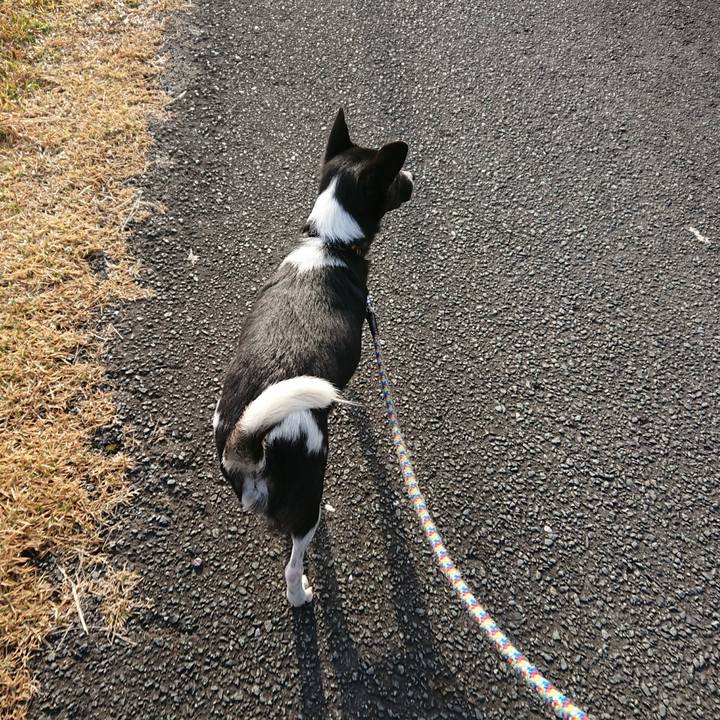 B0cc9882 99fc 4584 b17f f3b64a638213 1510894475508