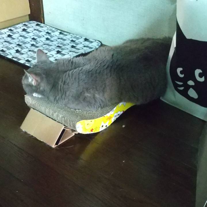 B0ccba1d 01e9 4552 a7d4 f7d21da9395f 1653551043894