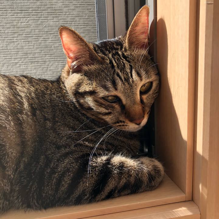 B0ccbd82 0ff3 47a9 b085 3287859927bc 1521035318380