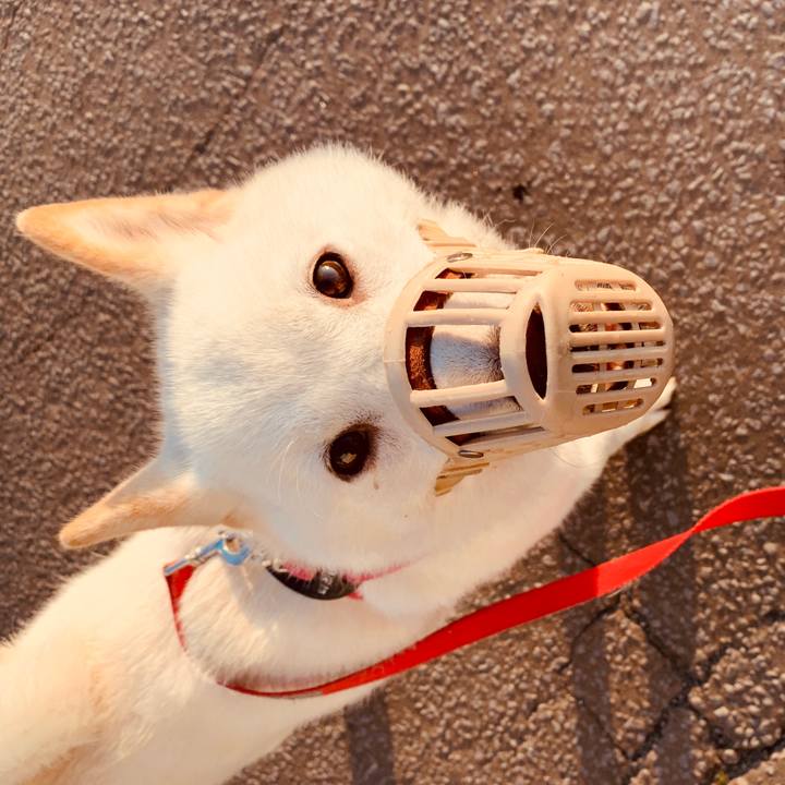 B0ccd255 2569 4575 afa8 ad964173d6eb 1563309071409