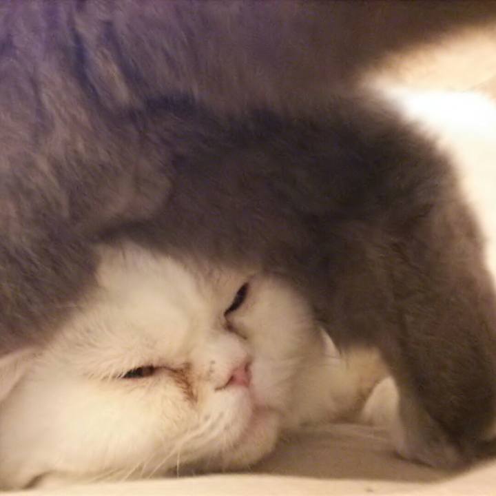 B0cd3956 8e2a 4505 b399 9f5da5bf3d0f 1549769295200