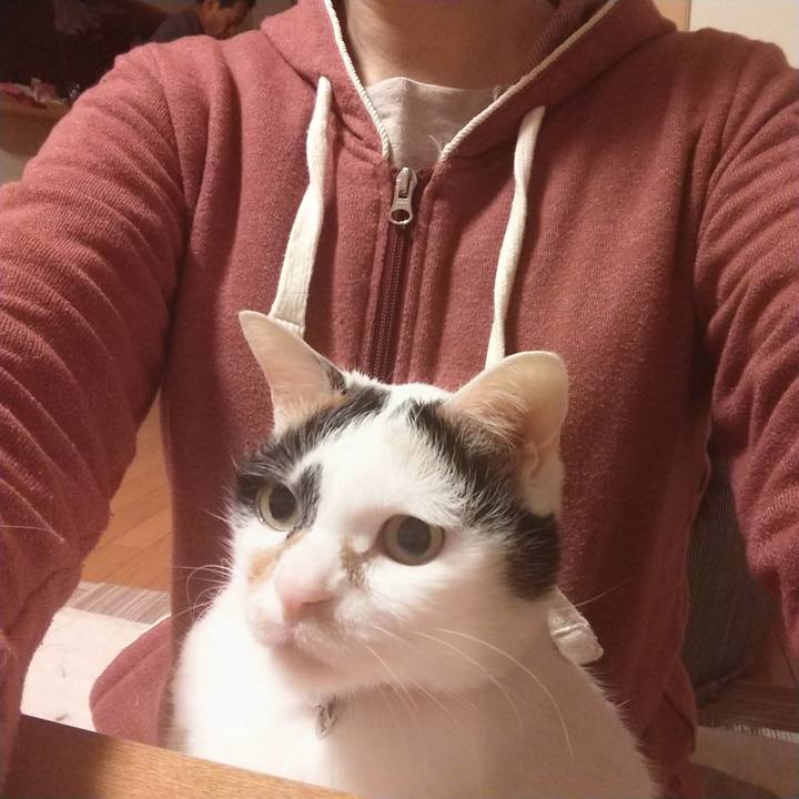 B0cd4007 89cb 4532 ae6b f8f69b2d4848 1619695593134