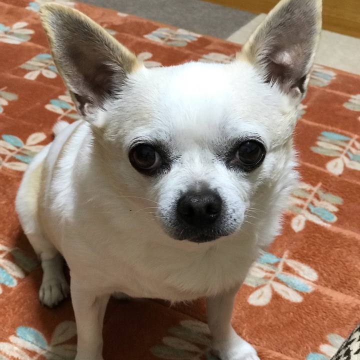 B0cd4ad1 7a17 4ef5 a123 4317ae52a655 1550238756198