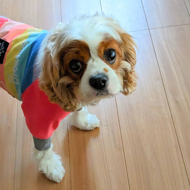 B0cd6220 bbcf 46a2 a8b3 099149e3f00e 1693637868673