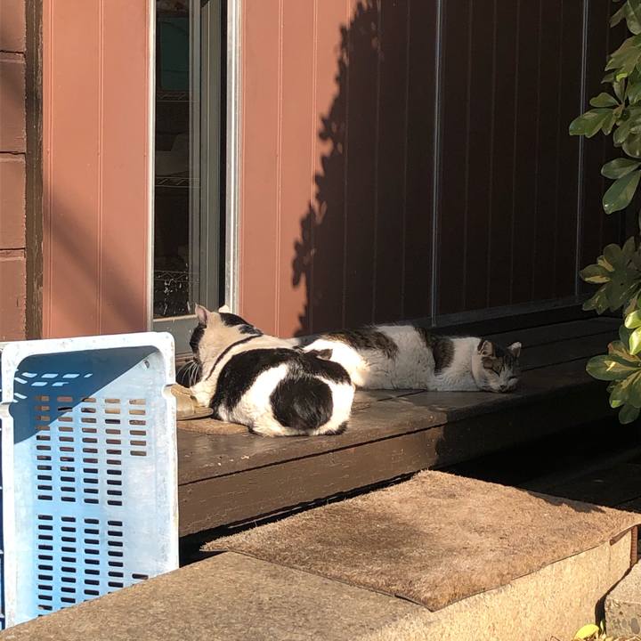 B0cd70bf 5472 416a 9cd9 3b950980089e 1647721915399