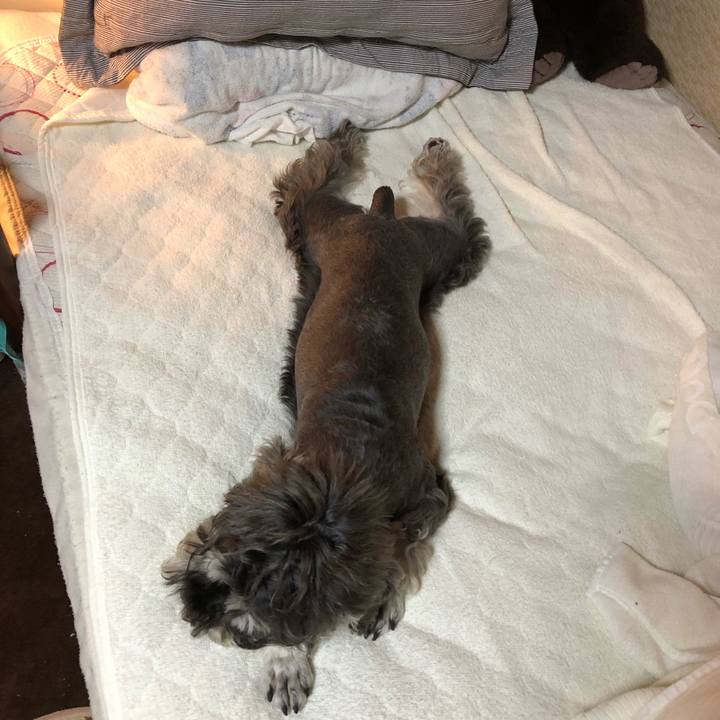 B0cd7f55 f5fe 4165 a1b7 60417e419d0f 1563094077763