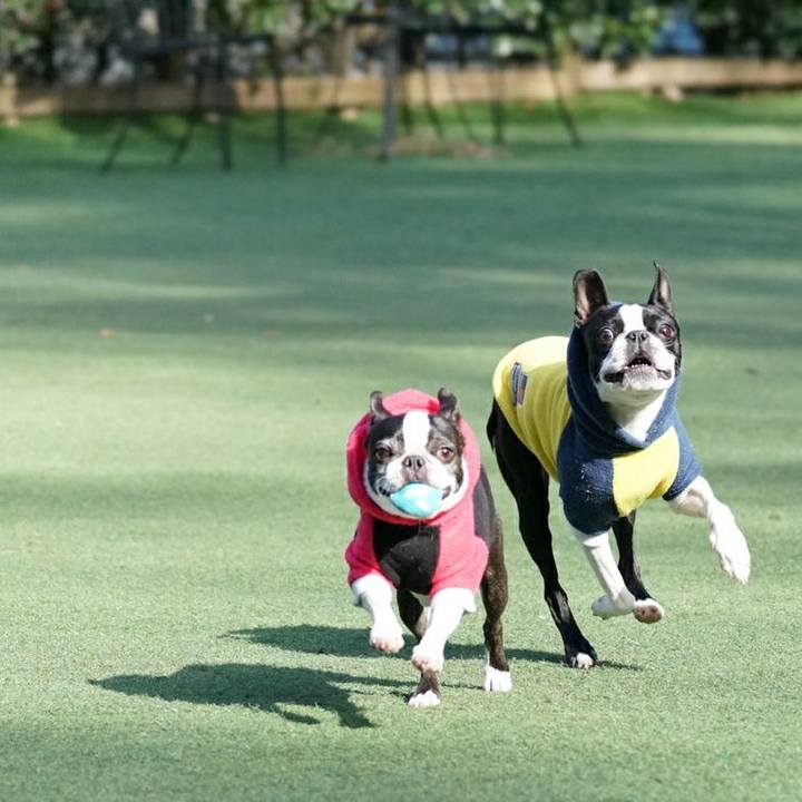 B0cda80e 8cd3 4a0e 8fd8 b6b3a7b50e20 1513336666283