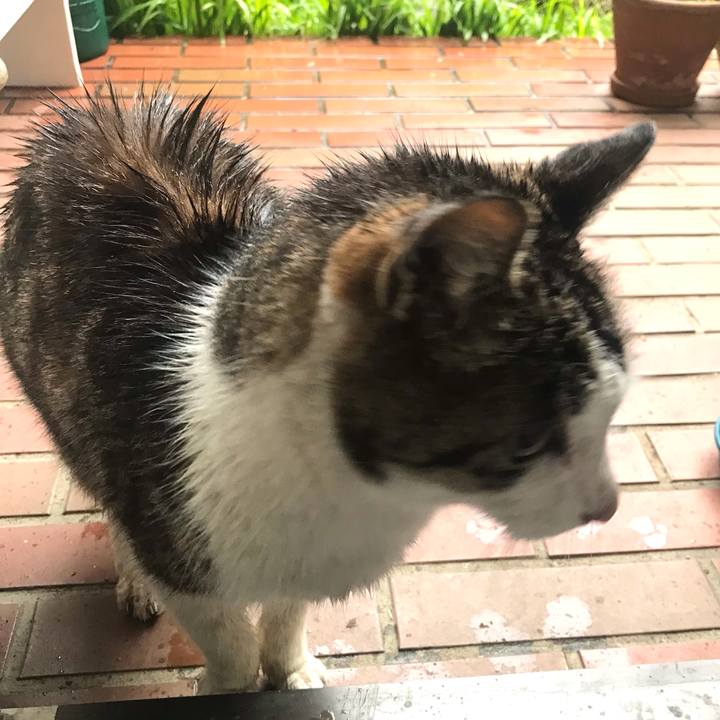 B0cdd1f2 d3c4 4901 a3b6 c2958e81d0ec 1615635371548