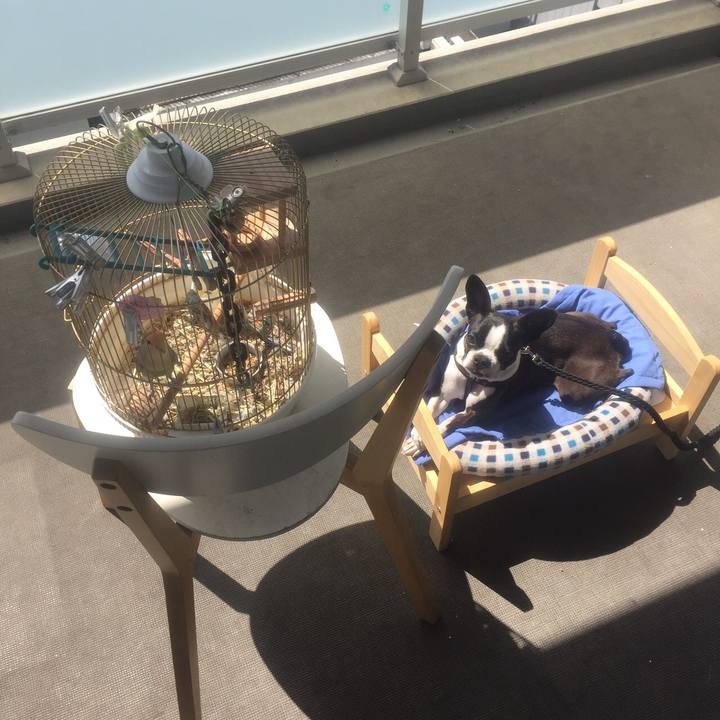 B0ce20fc b5e9 4b09 b146 60874257724f 1523345330058