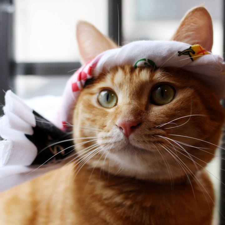 B0cea0b1 2259 4bb6 b70e 027f7c55f447 1755940174186