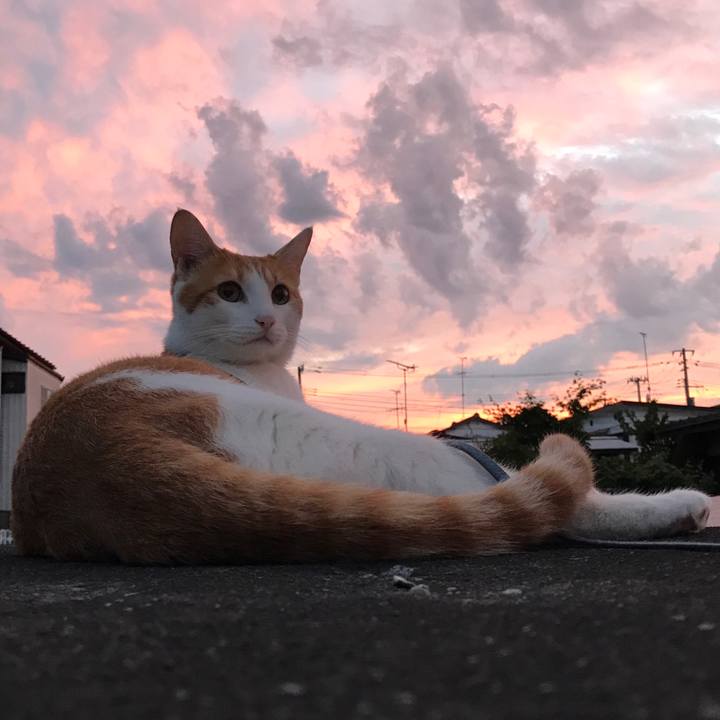 B0cec23e 2bab 493f 838d 743efd143d3e 1537438851137