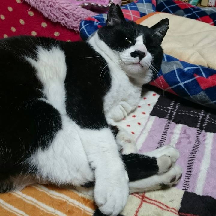 B0cec870 9f24 4280 a8d0 c9f66d0b3c98 1521361034716