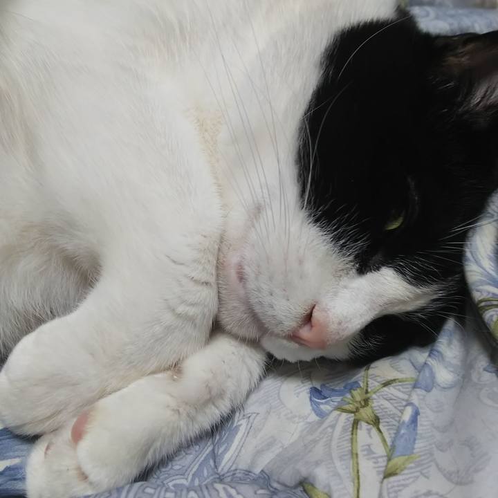 B0cede93 a99a 47db b953 78b77589c0e0 1575641018164