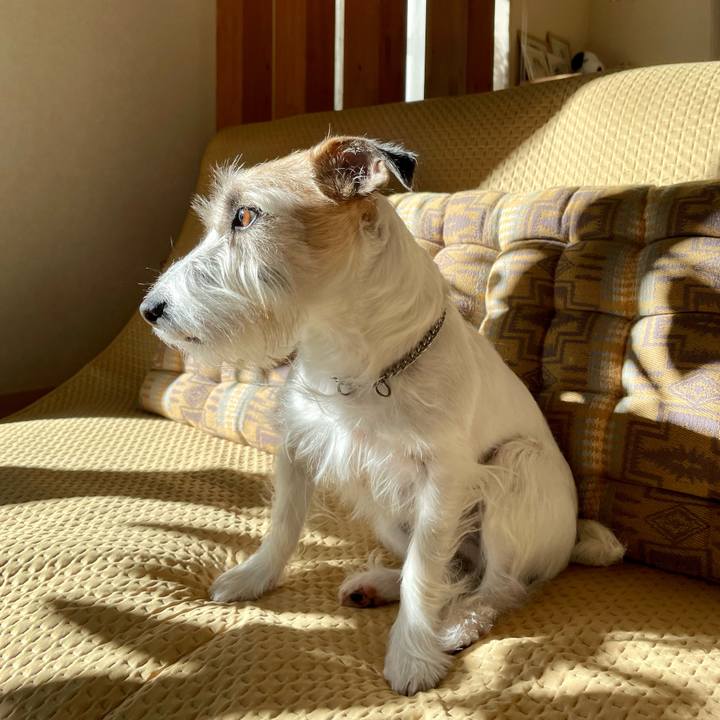 B0cee986 1ddd 4ba8 ade1 545bbf07d1e5 1672106473970