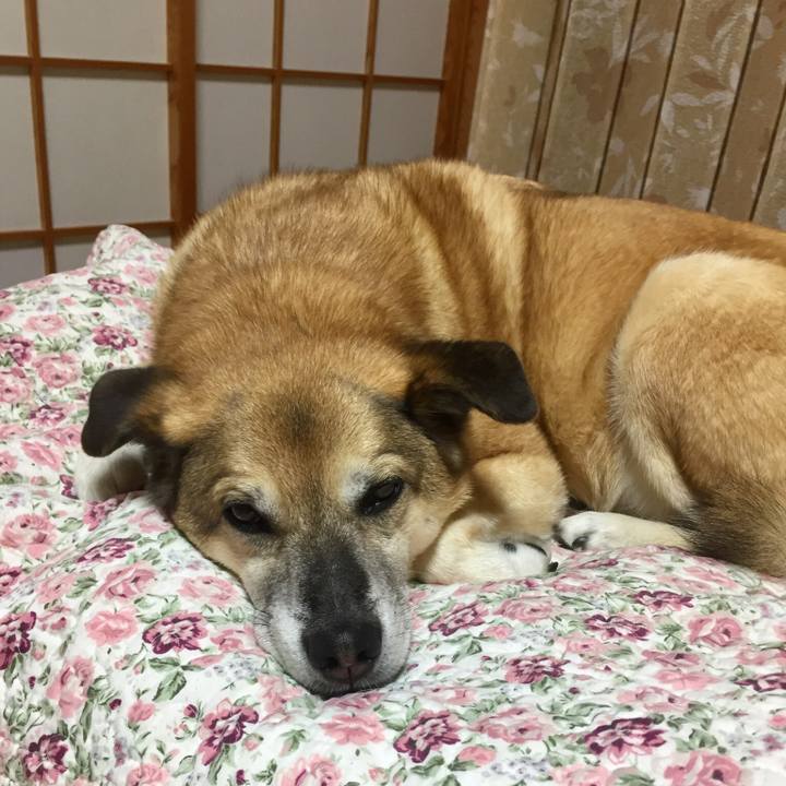 B0cf0ecd 6da1 4a3b b904 8c1c5845524b 1557575864881