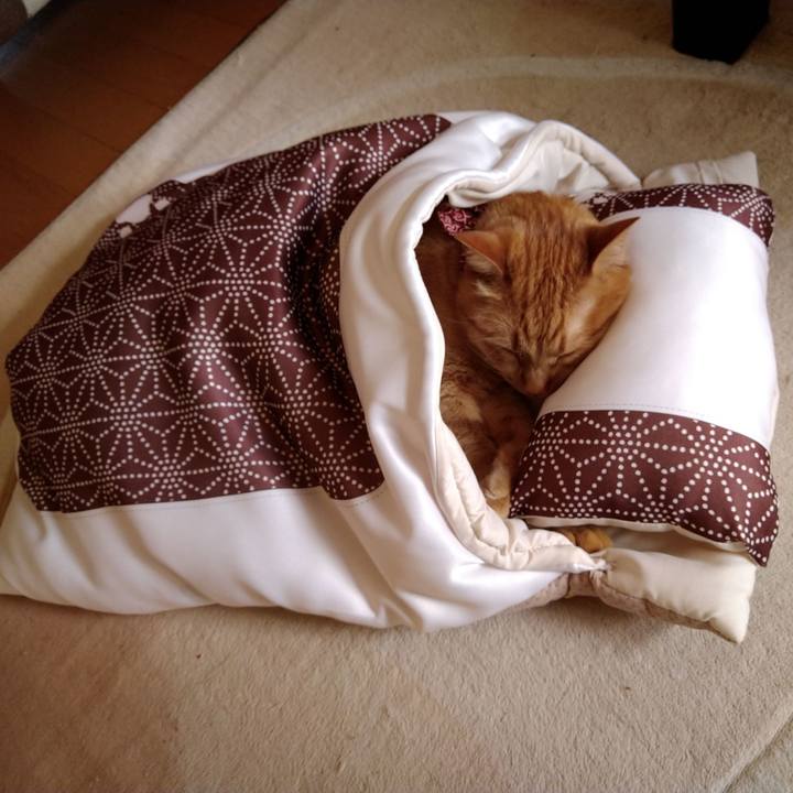 B0cf35e8 b252 4986 ad64 35d0d76c99fb 1619067871632