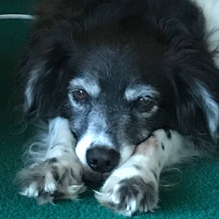 B0cf4b16 6eb4 4af7 87a8 ae5595b4b3e1 1533910303620