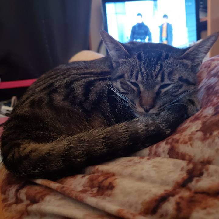 B0cf5e47 d1cf 4e01 88e6 88b8228c8305 1549003097326