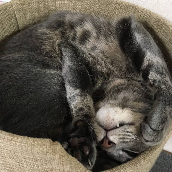 B0cf7a36 6a3d 4fd0 8d18 004a7f52eb35 1535639868340