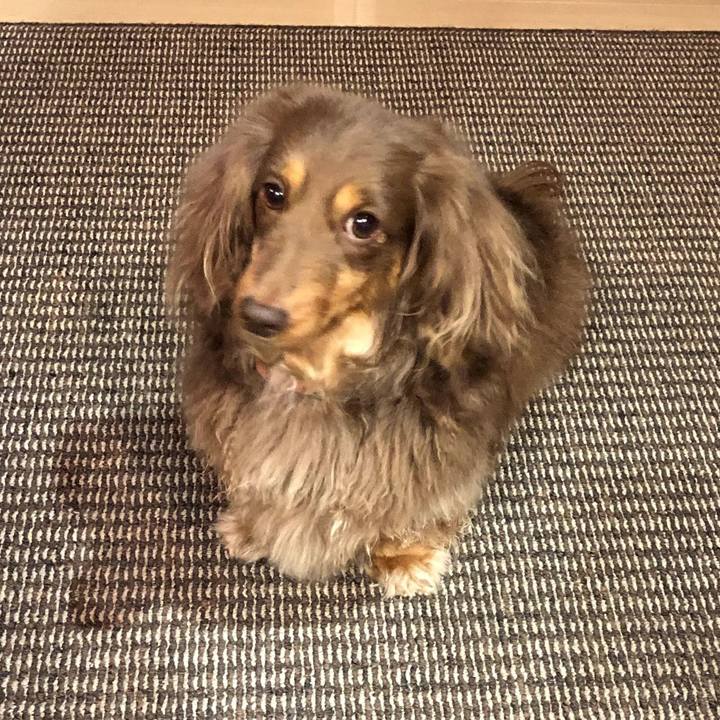 B0cf9279 b6dc 4f86 9a43 b36add7027fc 1583672533614