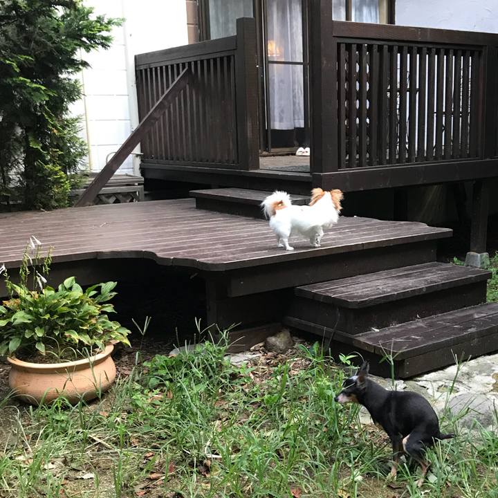 B0cfcef3 0ac7 4a00 921d 9319f78e4e0f 1537187813409