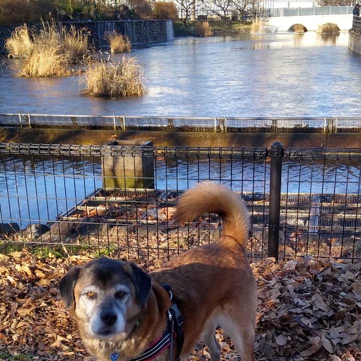 B0cfe34d ecd2 40a6 9d4b 0bf587d1fff9 1546820650047