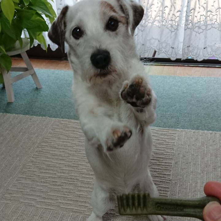 B0d0084b 93a7 4834 ad21 315209d377a8 1560811628875