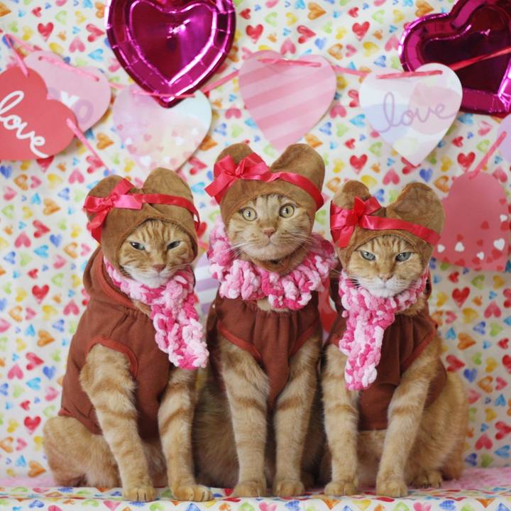 B0d0124d 06ce 4900 81e7 23043f94bf15 1676200957487