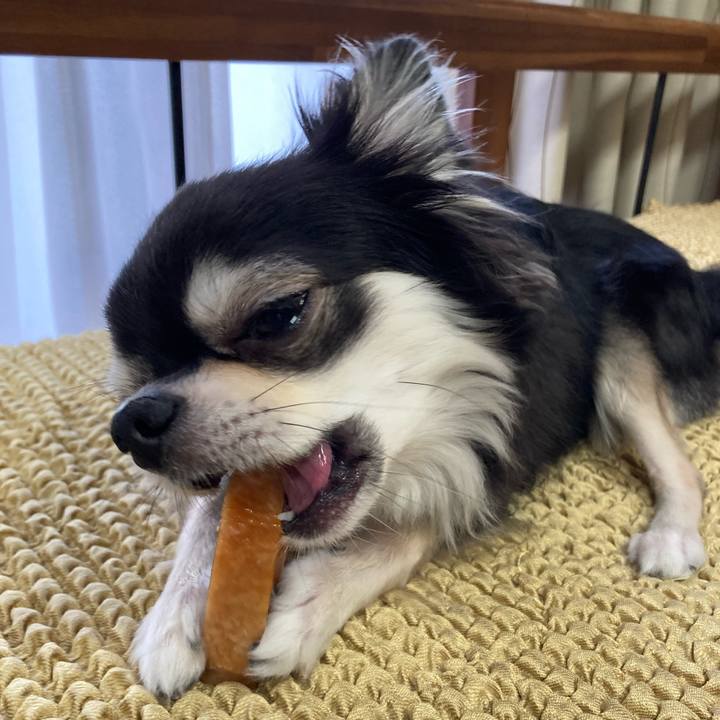 B0d037c1 6af9 45af a3c1 13e0f99c0500 1657943187733