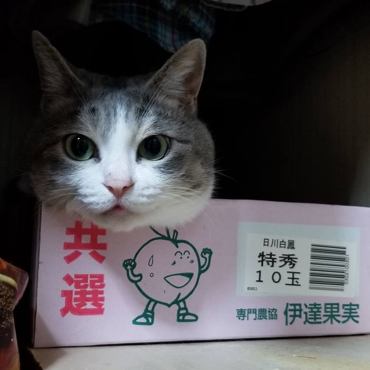 B0d0714f 2e1e 4aeb aa52 c040b807bea3 1628345683571