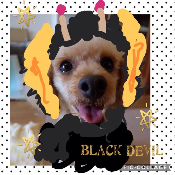 B0d082c7 edb3 4d18 87a5 51b7fd209d50 1536478590749