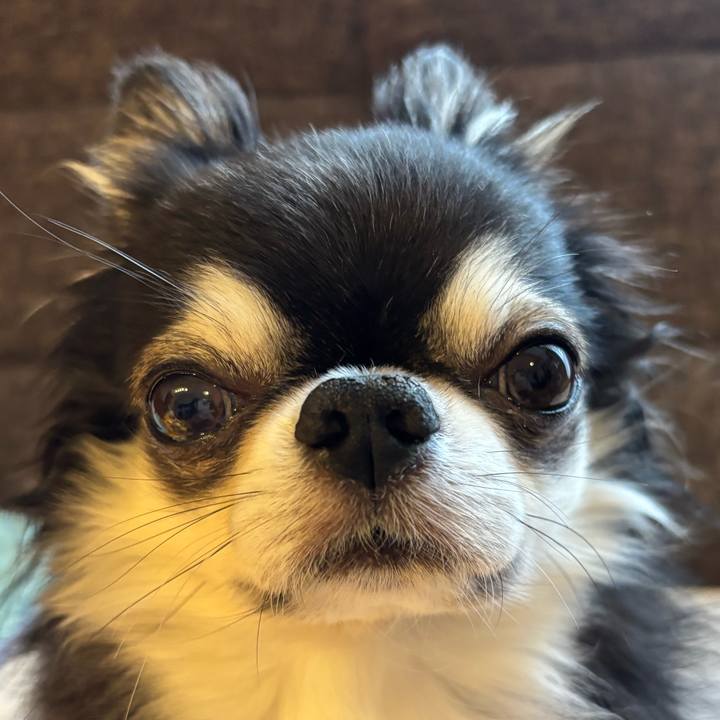 B0d08540 4a6c 45b8 bdfb 87dd8a9c2970 1760744151120