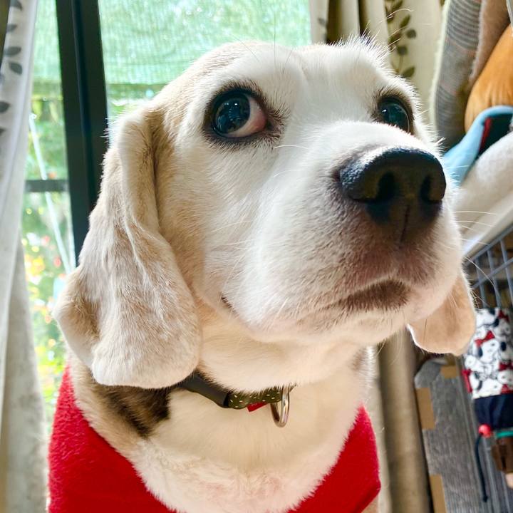 B0d0895a df5b 404e 9154 35c5bbf2997a 1650427381715