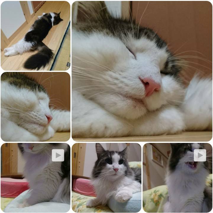 B0d08c57 b5db 4d5a 8b78 6f88cd52c69c 1566702053904