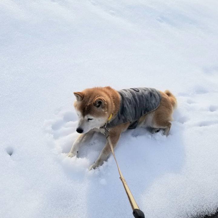 B0d0ce7d 6258 41f6 a547 702a79bb6e14 1678340855910