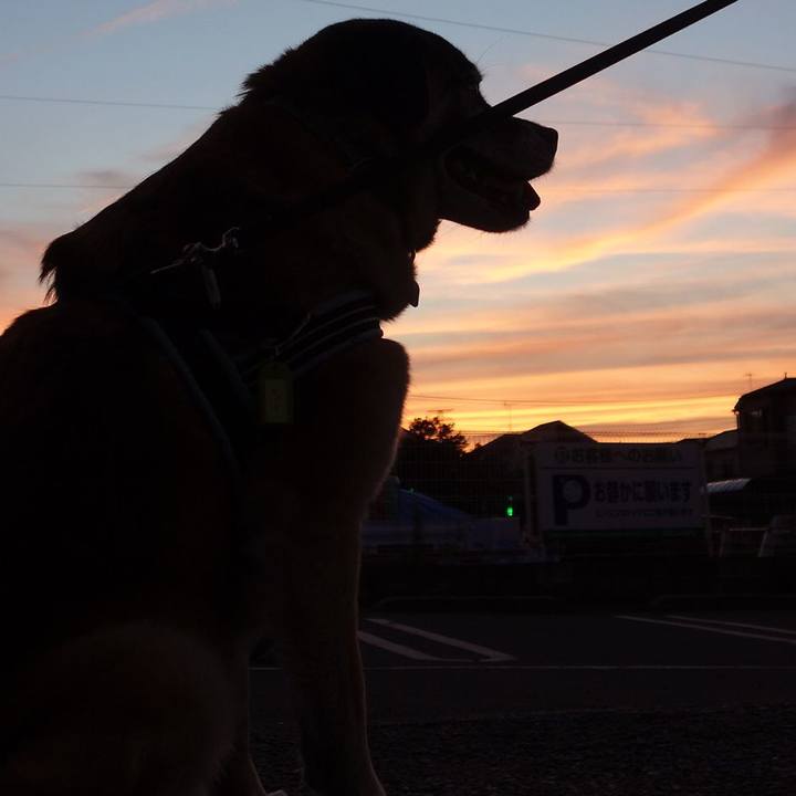 B0d0da21 bbab 4cc1 80e6 dd3669c10159 1529838767181