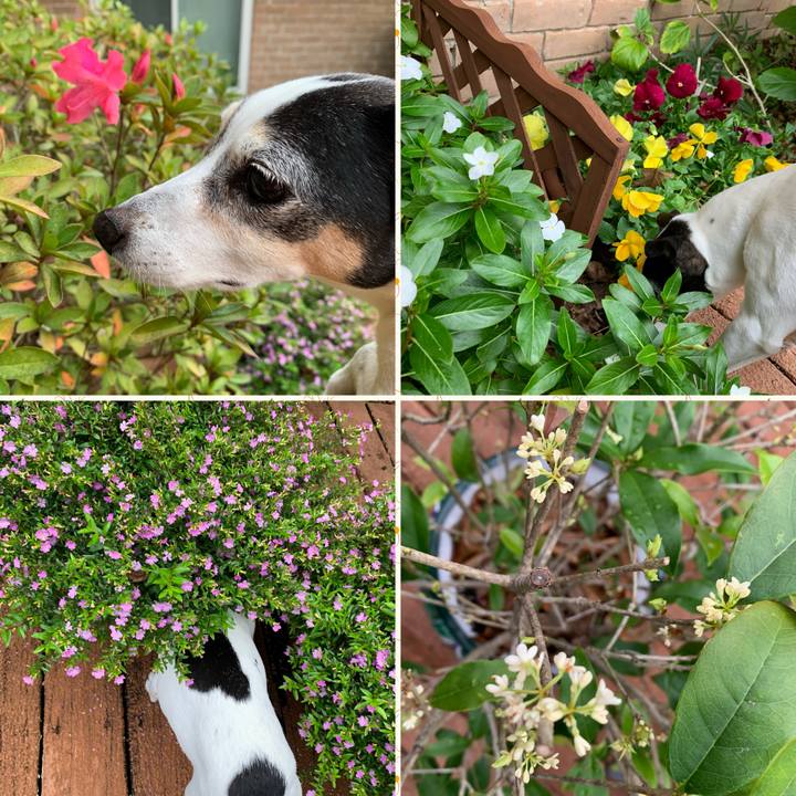 B0d13336 7bfb 4b59 923a 4a8963c1fa66 1611355447093