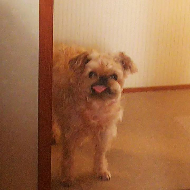 B0d133ca c1a4 43e2 b8d0 0f5dc1798054 1558045319449